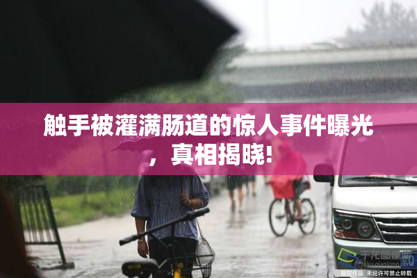 触手被灌满肠道的惊人事件曝光，真相揭晓!