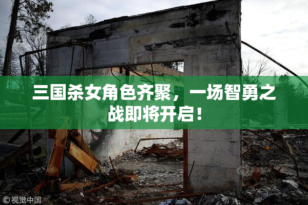 三国杀女角色齐聚，一场智勇之战即将开启！