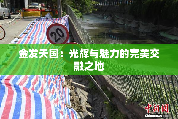 金发天国：光辉与魅力的完美交融之地