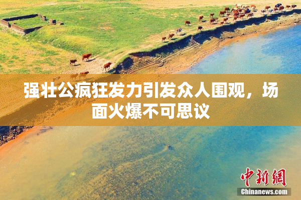 强壮公疯狂发力引发众人围观，场面火爆不可思议