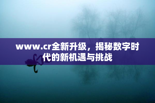 www.cr全新升级，揭秘数字时代的新机遇与挑战