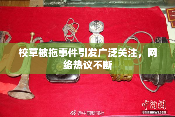 校草被拖事件引发广泛关注，网络热议不断