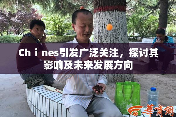 Chⅰnes引发广泛关注，探讨其影响及未来发展方向