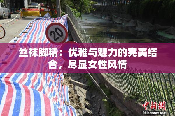 丝袜脚精：优雅与魅力的完美结合，尽显女性风情