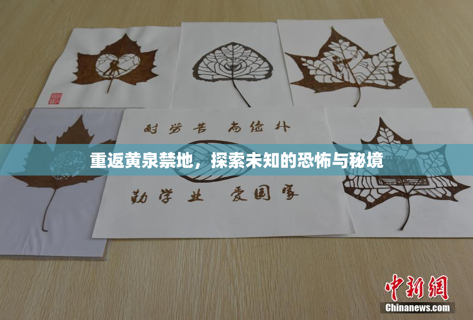 重返黄泉禁地，探索未知的恐怖与秘境