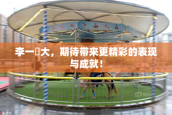 李一挏大，期待带来更精彩的表现与成就！