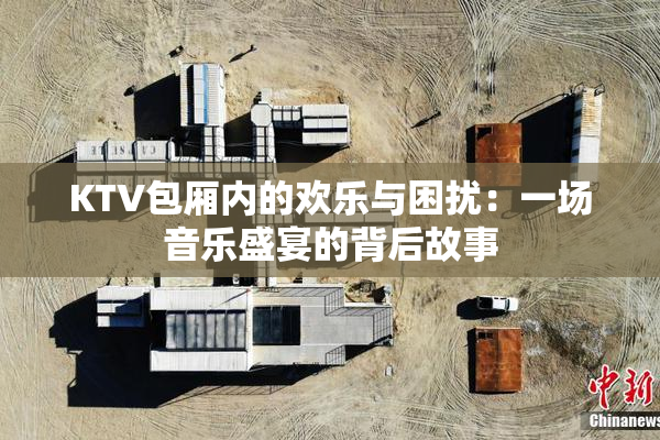 KTV包厢内的欢乐与困扰：一场音乐盛宴的背后故事