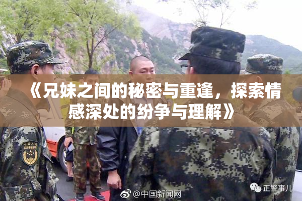 《兄妹之间的秘密与重逢，探索情感深处的纷争与理解》
