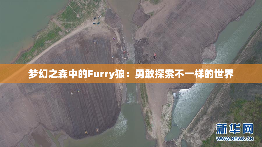 梦幻之森中的Furry狼：勇敢探索不一样的世界