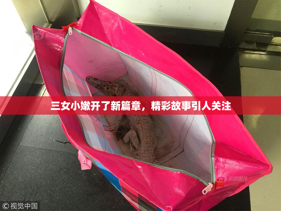 三女小嫩开了新篇章，精彩故事引人关注