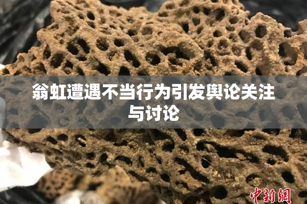 翁虹遭遇不当行为引发舆论关注与讨论
