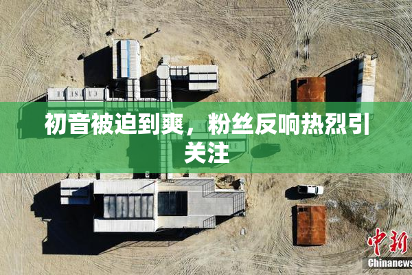 初音被迫到爽，粉丝反响热烈引关注