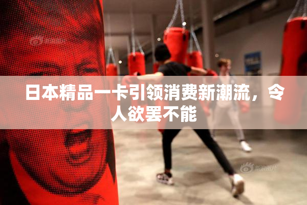 日本精品一卡引领消费新潮流，令人欲罢不能