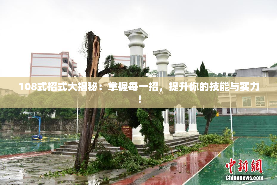 108式招式大揭秘：掌握每一招，提升你的技能与实力！