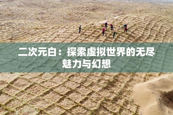 二次元白：探索虚拟世界的无尽魅力与幻想