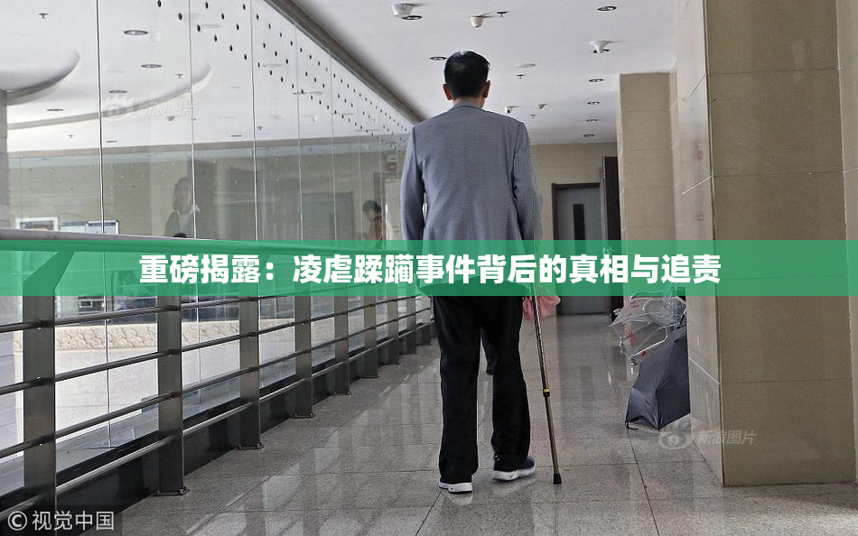 重磅揭露：凌虐蹂躏事件背后的真相与追责
