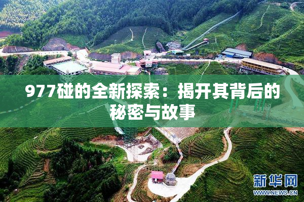 977碰的全新探索：揭开其背后的秘密与故事