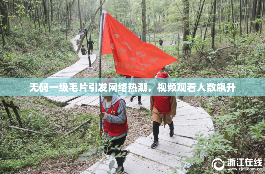 无码一级毛片引发网络热潮，视频观看人数飙升