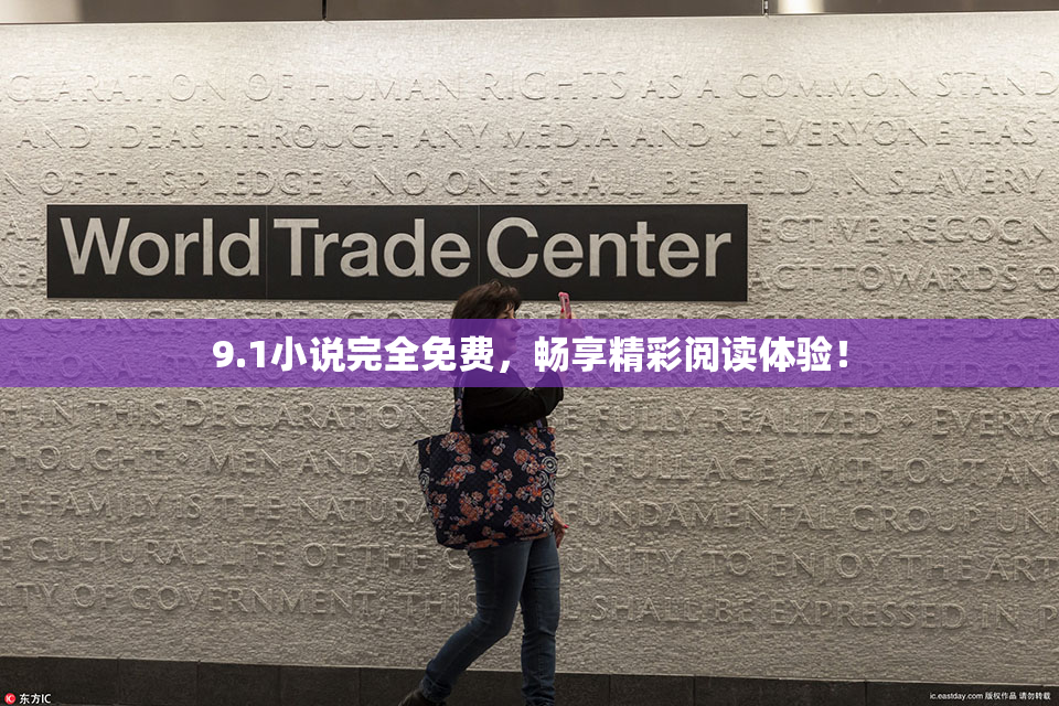 9.1小说完全免费，畅享精彩阅读体验！