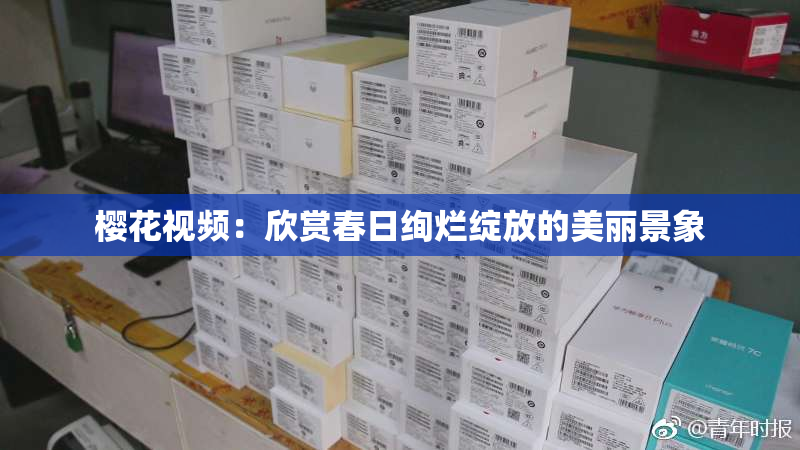 樱花视频：欣赏春日绚烂绽放的美丽景象