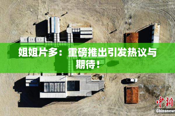 姐姐片多：重磅推出引发热议与期待！