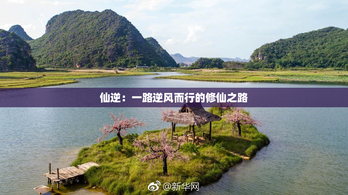 仙逆：一路逆风而行的修仙之路