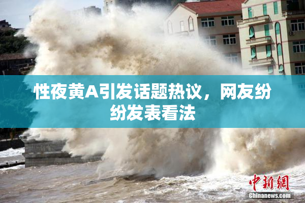 性夜黄A引发话题热议，网友纷纷发表看法