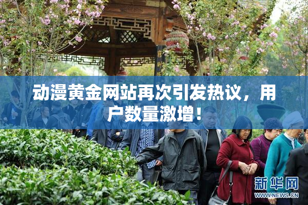 动漫黄金网站再次引发热议，用户数量激增！