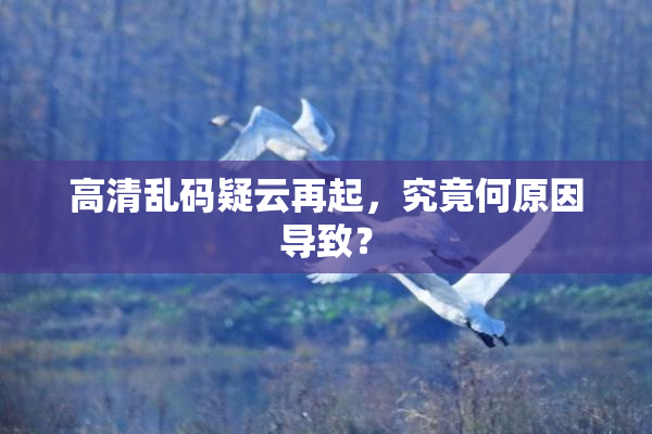 高清乱码疑云再起，究竟何原因导致？