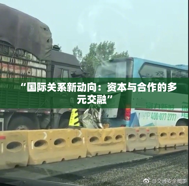 “国际关系新动向：资本与合作的多元交融”