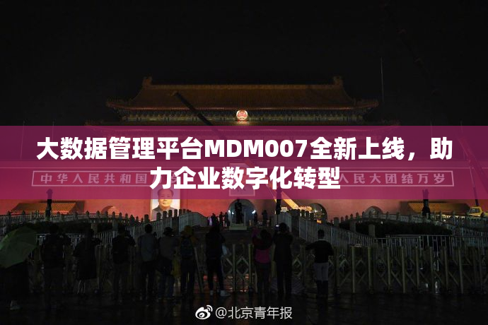 大数据管理平台MDM007全新上线，助力企业数字化转型