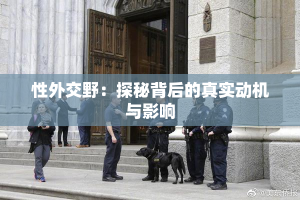性外交野：探秘背后的真实动机与影响