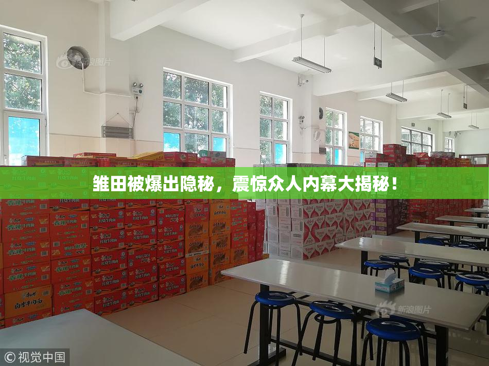 雏田被爆出隐秘，震惊众人内幕大揭秘！
