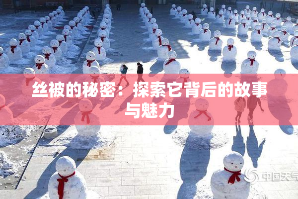 丝被的秘密：探索它背后的故事与魅力