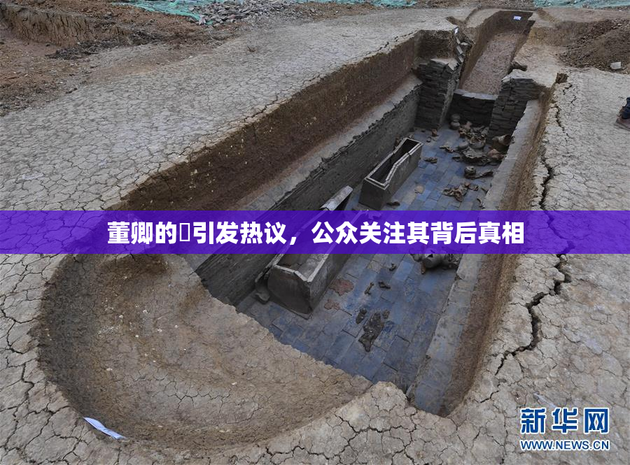 董卿的婬引发热议，公众关注其背后真相