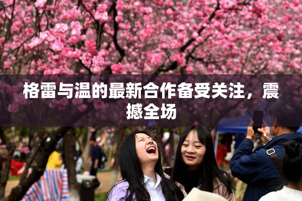 格雷与温的最新合作备受关注，震撼全场