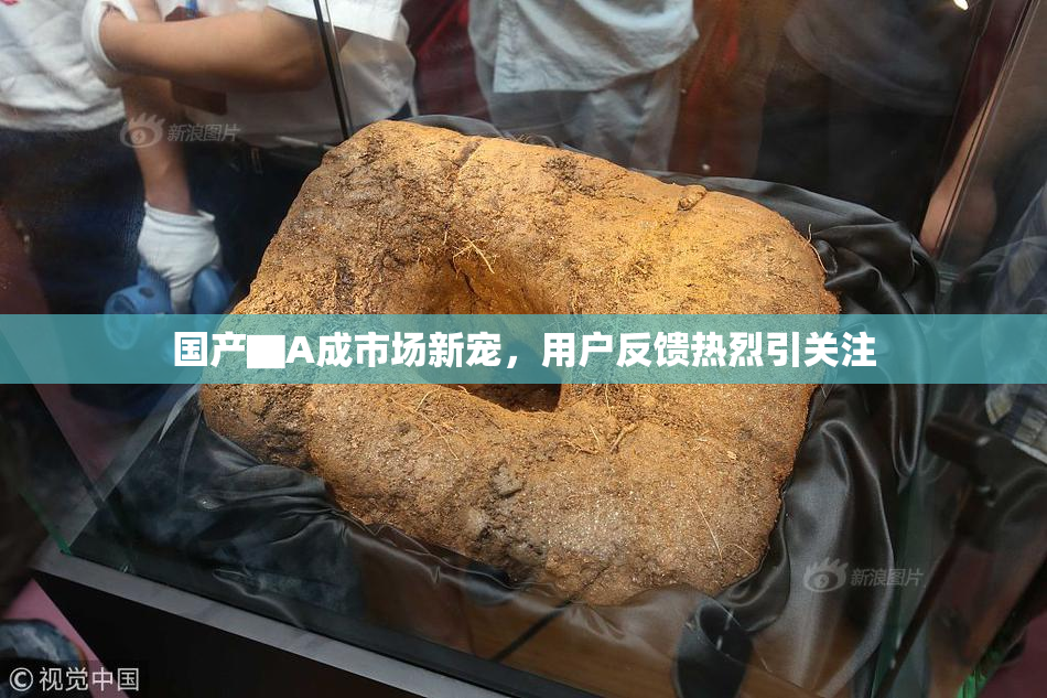 国产▇A成市场新宠，用户反馈热烈引关注