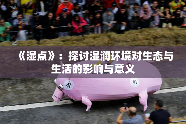 《湿点》：探讨湿润环境对生态与生活的影响与意义