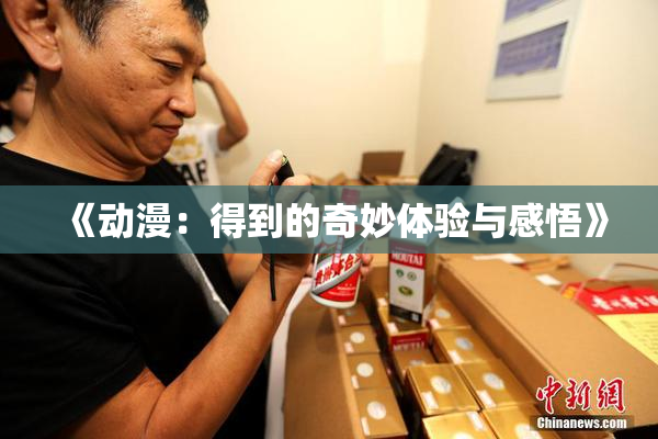 《动漫：得到的奇妙体验与感悟》