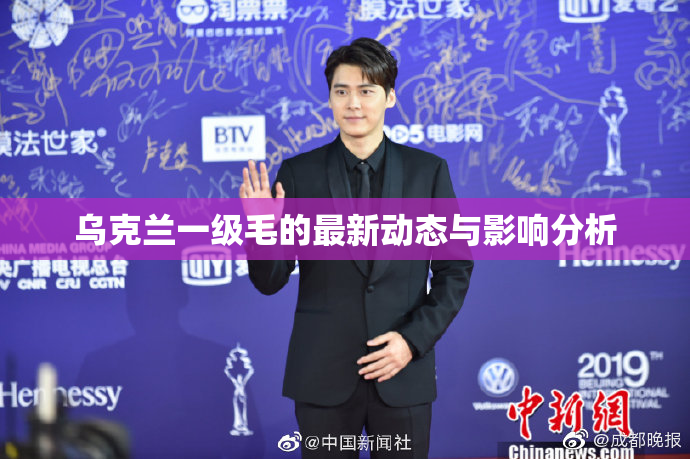 乌克兰一级毛的最新动态与影响分析