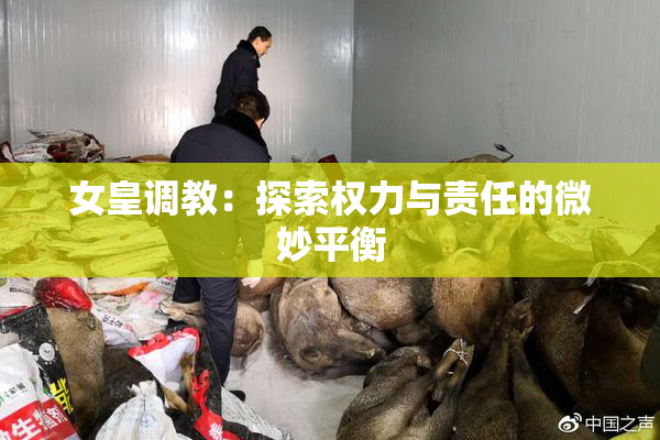 女皇调教：探索权力与责任的微妙平衡