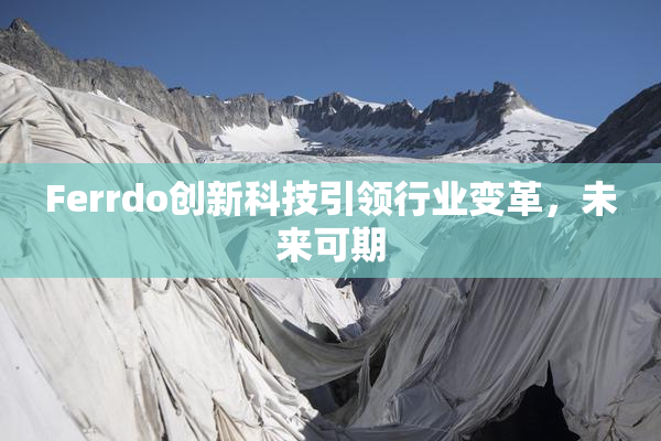 Ferrdo创新科技引领行业变革，未来可期