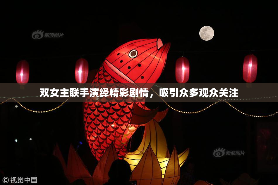 双女主联手演绎精彩剧情，吸引众多观众关注