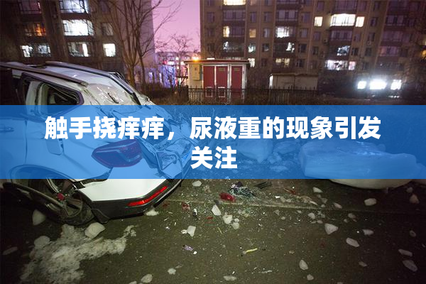 触手挠痒痒，尿液重的现象引发关注