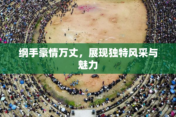 纲手豪情万丈，展现独特风采与魅力