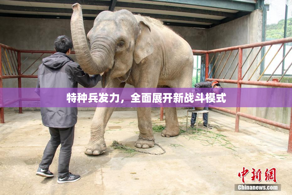 特种兵发力，全面展开新战斗模式