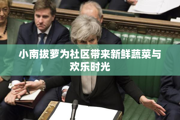 小南拔萝为社区带来新鲜蔬菜与欢乐时光