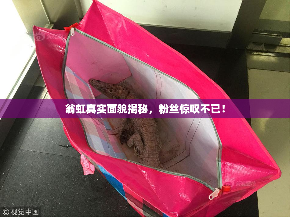翁虹真实面貌揭秘，粉丝惊叹不已！