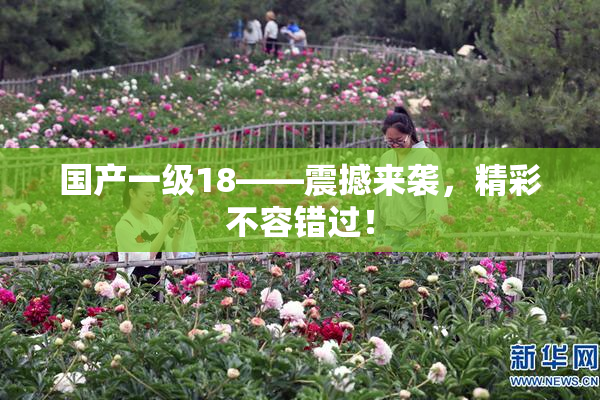 国产一级18——震撼来袭，精彩不容错过！