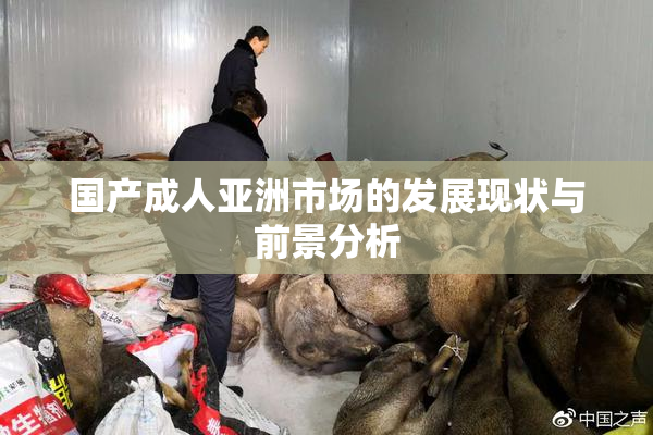国产成人亚洲市场的发展现状与前景分析